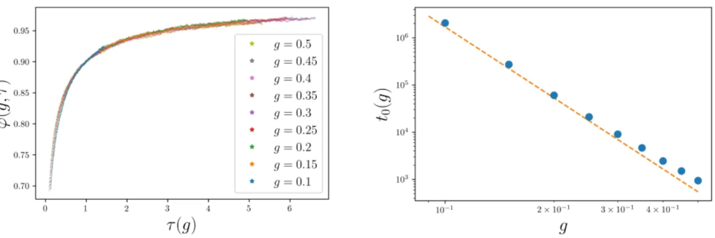 Figure 2: Panel (a). Time evolution of ϕ as a function of the rescaled time τ (g) for various values of g (see main text), for L = 64, β = 1 and m = 1