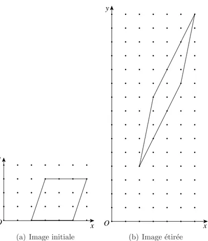 Fig. 1.5 – Exemple de transvection verticale de coefficient 2
