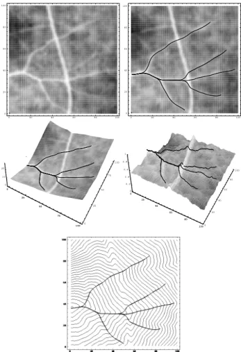 Figure 3: Many paths are obtained simultaneously connecting the start point on the upper left to 4 other points
