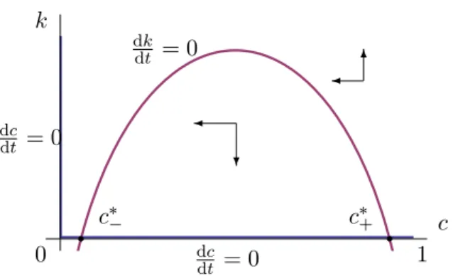Figure 3.1: Dynamics in the space (c, k).
