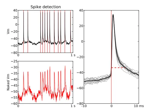 Figure 1.1: Spike extraction - (Left-top) Temporal trace of the membrane potential with spike times