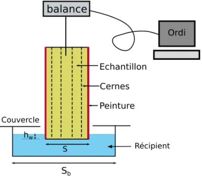 Fig. 2.11 ). On peut écrire maintenant :