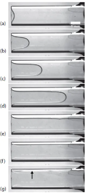 Figure 1.15  Séquence d'images de séchage d'un capillaire initialement saturée avec de l'eau dionisée disposé horizontalement
