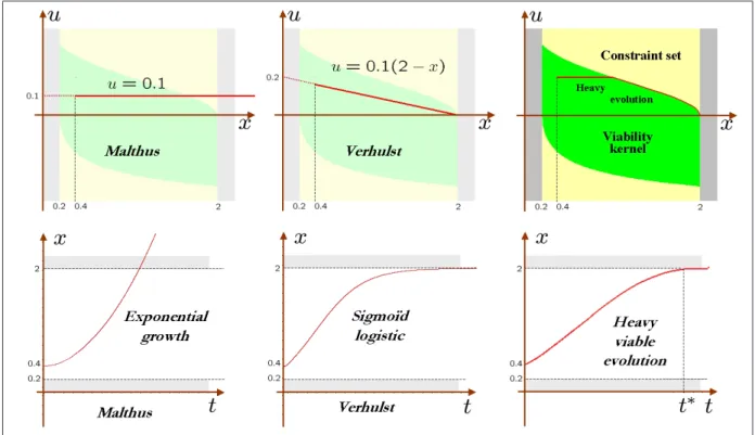 Figure 4.1 The three figures of the top line illustrate the curves representing three examples of feedbacks