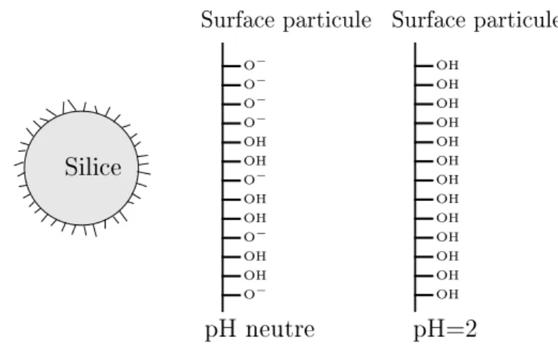 Figure 2.8  Variation de la chimie de surface de la silice avec le pH.