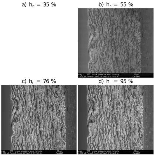 Figure 2.4: ESEM observation of the edge of a Swy-2-Ca lm at various relative humidities h r .