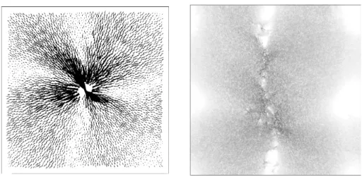 Figure 1.4: Non-affine displacement field of a 2D system: (left) at the onset of a plastic event, a zone flip shows up as a quadrupolar structure [4] and (right) as accumulated during a full plastic event, a full slip line brings evidence of avalanche beha