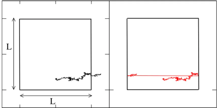 Figure 2.2: (left) Trajectory of a particle i: ~ r i (t) is a continuous function of t