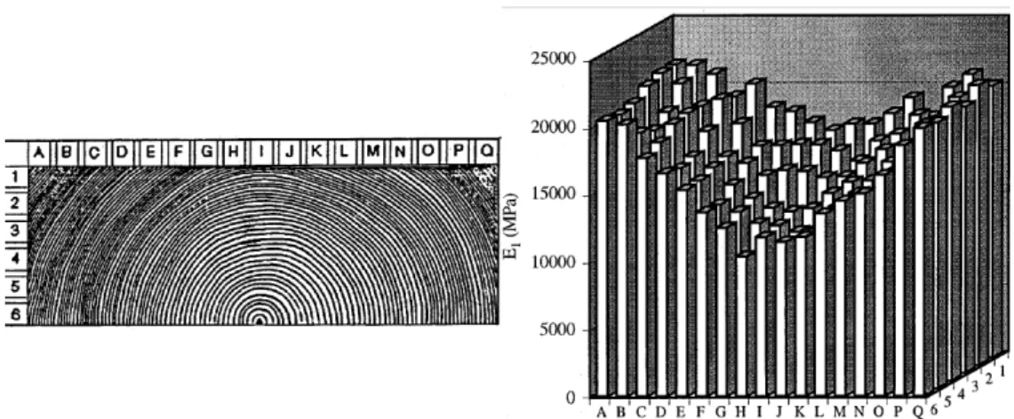 Figure 1-17 : Variation du module élastique longitudinal sur une section transversale du bois d’épicéa  (Ormarsson, Dahlblom, &amp; Petersson, 1999)