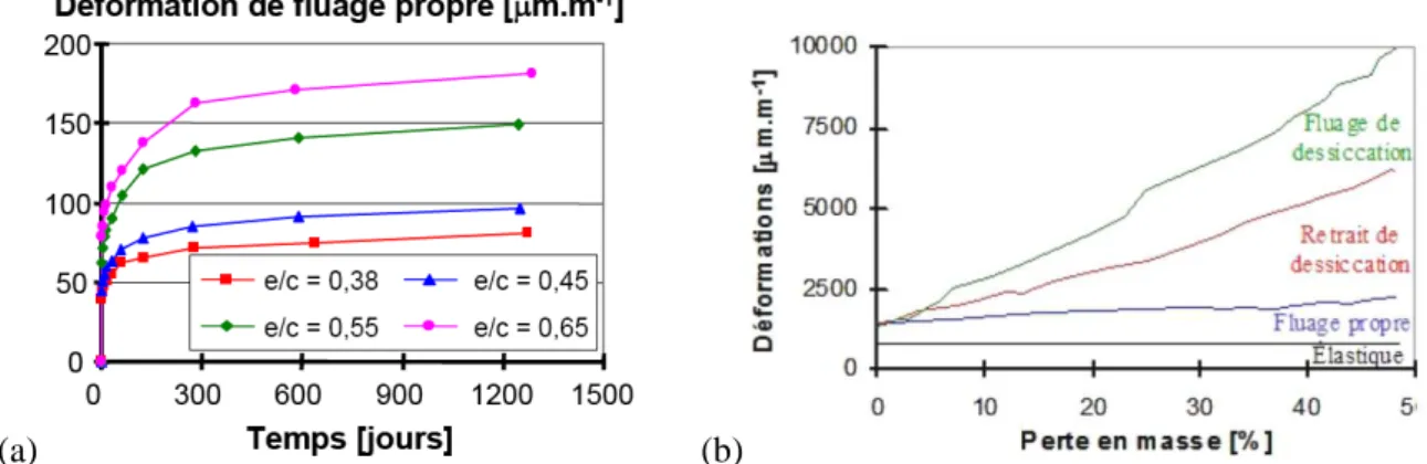 Figure 1-23 : (a) Effet d’E/C sur le fluage propre (Benboudjema, 2002) (b) comparaison du fluage propre et  du fluage de dessiccation mesurés sur des pâtes de ciment