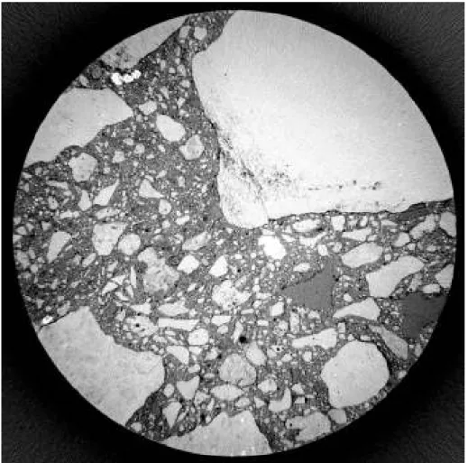 Figure 1.18 – Extrait de tomographie, diam`etre 20mm. On voit clairement les granulats et des d´etails de la microstructure sont visibles.