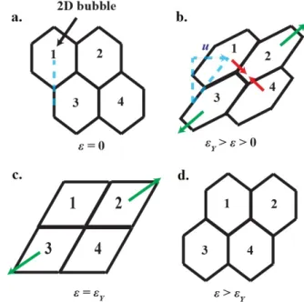 Figure 1.22: T1 event in 2D with  the strain and  Y the yield strain. a. Initial state