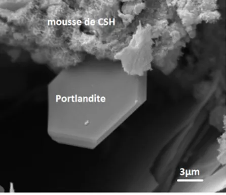 Fig. 1.19 – Image MEB de la forme “prisme hexagonal” du cristal de portlandite [ 19 ]