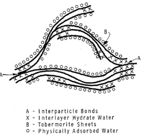 Fig. 1.22 – Modèle de la pâte de ciment proposé par Feldman [ 50 ] -Niveau III : (10 −10 − 10 −9 m)