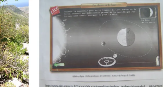 Figure  2 : Document proposé pour expliquer les différentes formes de la lune perçues