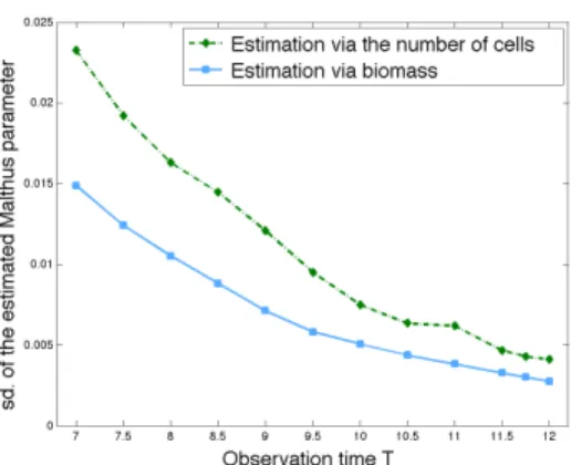 Figure 3. Model (S+V). Standard deviation of two estimators of the Malthus parameter as T increases (based on M = 50 Monte Carlo continuous time trees simulated up to time T ), for ρ α=0.3 and division rate γ(x, v) = vxB(x) with B(x) = (x − 1) 2 1
