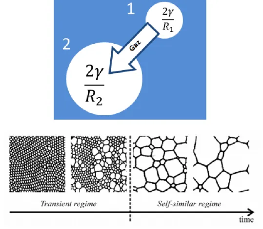 Figure 13 : Mécanisme diffusif du mûrissement d’une bulle de grande pression de Laplace vers une bulle de plus faible pression et 
