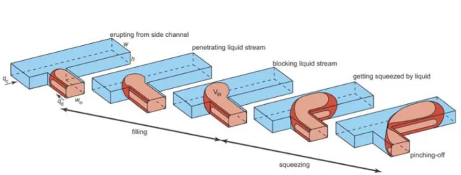 Figure 24 : Présentation des différentes étapes dans le mécanisme de rupture pour la génération d’objets en microfluidique