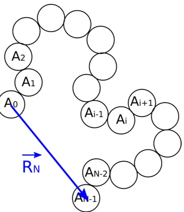 Figure 3.1  Une conformation possible d'une chaîne exible de N monomères. Le vecteur ~R N