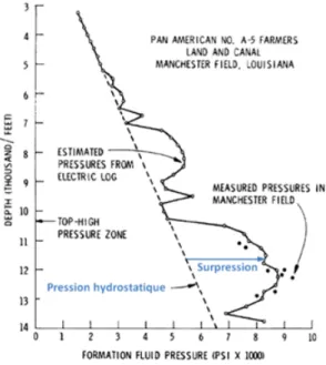 Figure 3.1 – Profil évalué sur le Golfe du Mexique. Source : Schmidt [ 1973 ]