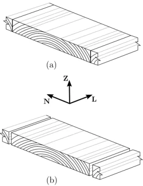 Figure 2.4: Schematic continuous (a) and discontinuous (b) Equivalent CLT Layers together with the layer’s reference frame