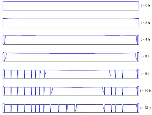Figure 3-8 : Morphologie de l’éprouvette aux différents temps pendant le séchage   3.2.2.2