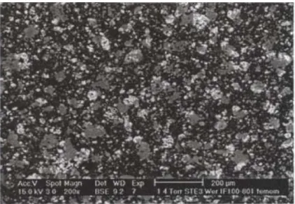 Figure 2.4 - Observation au MEB environnemental de la surface d'un enrobé non dégradé de type STE3 0,5 Werner  [2]