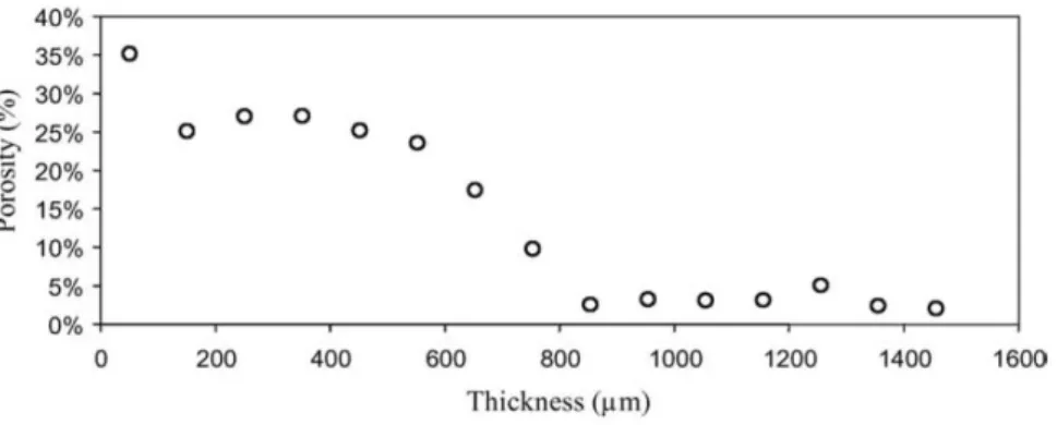 Figure 2.10 - Profils de porosité correspondant à l'échantillon STE3 1N sous eau pure après 11 mois