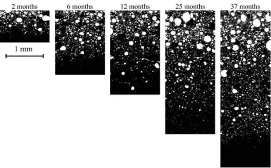 Figure 2.11 - Vue au MEBE environnemental d'un échantillon STE3 0.5N sous eau pure après 2, 6, 12, 25 et 37 mois