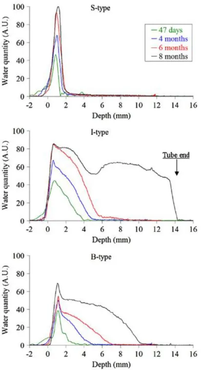 Figure 2.19 - Profiles 1D de la quantité d'eau présente dans les échantillons S, I et B après 47 jours, 4, 6 et 8 mois