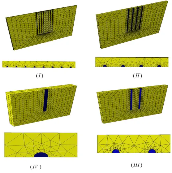 Fig. 2.11 – Maillages employés dans le calcul dynamique par simulation directe