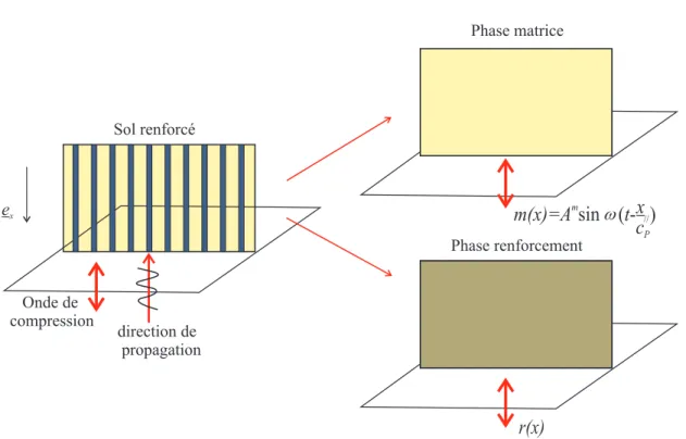 Fig. 3.4 – Onde de compression se propageant parallèlement à la direction du renforcement ⋄ Phase matrice : ξ m = m(x, t)e x = A m sin ω  t − x c // P  e x (3.19) où A m et c //
