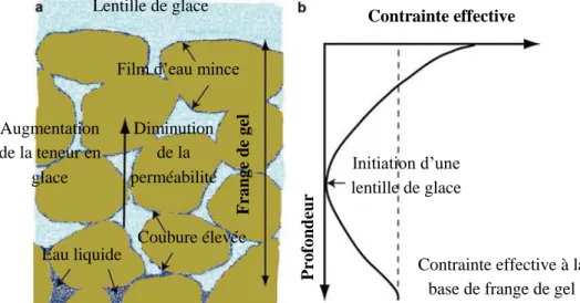 Figure I. 26: Diagramme schématique du modèle &#34;rigid-ice&#34; de la formation d'une nouvelle lentille de  glace (Rempel et al., 2004) 