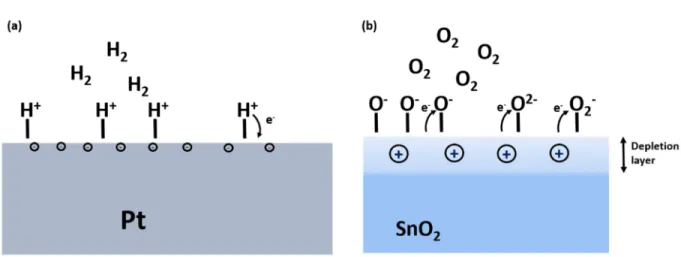 Figure  3.10 Schematic  representation  of  gas  molecules  chemisorption  on  a  sensing layer surface showing the partial charge transfer