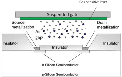 Figure  2.18 Cross  sectional  schematic  of  n-channel  SGSFET  gas  sensor.  Adapted from [13]