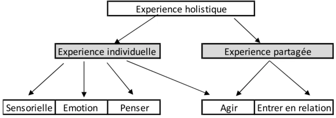 Figure 6 : L’expérience individuelle vs. partagée 