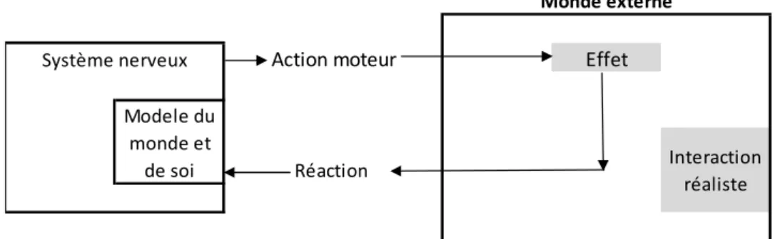 Figure 8 : Représentation d’une interaction entre le système moteur et l’environnement qui permet de  générer un état de présence  