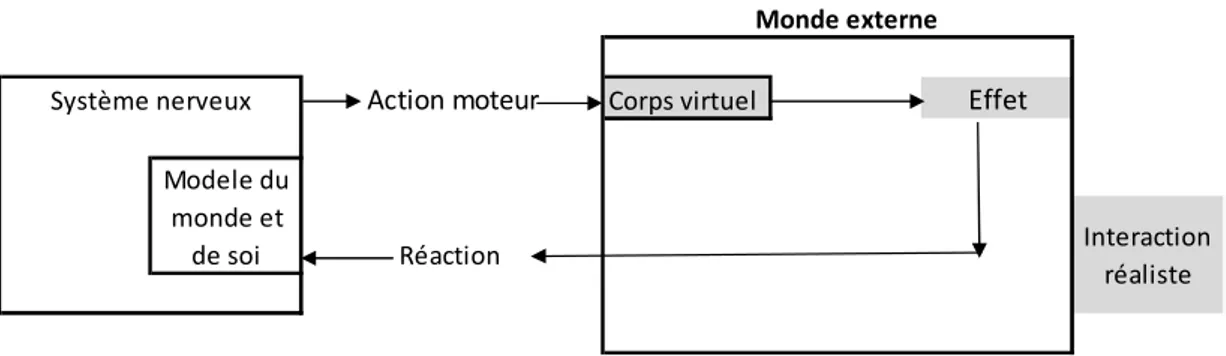 Figure 9 : Représentation d’une interaction entre le système moteur et l’environnement qui permet de  générer un état de télé-présence  