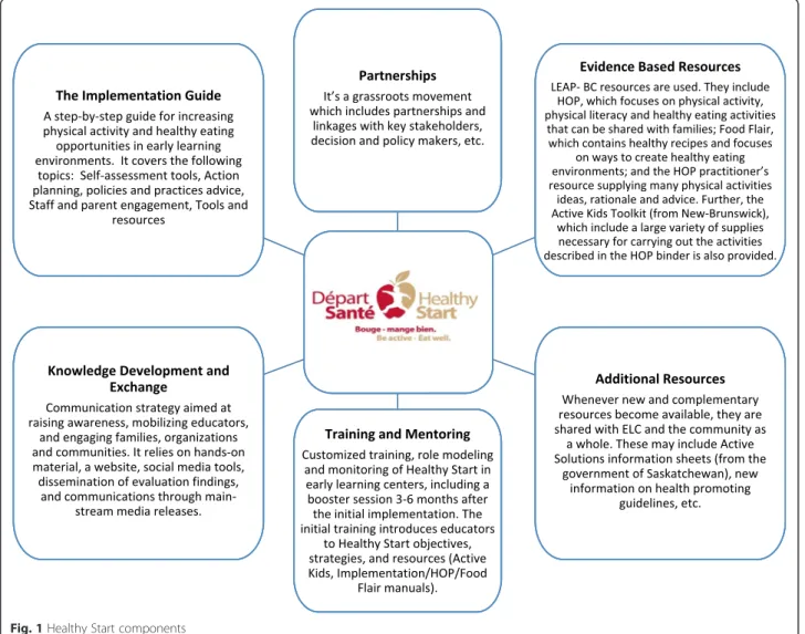 Fig. 1 Healthy Start components