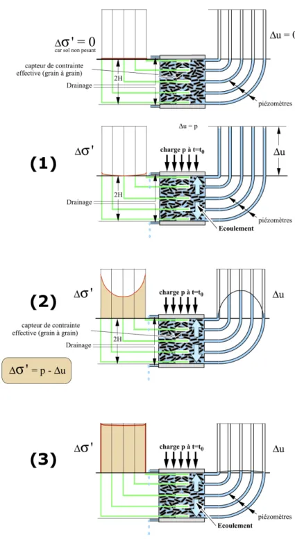 Figure 1.4  Les diérentes phases de consolidation en condition oedomé- oedomé-trique d'après Dysli ( 1997 ).