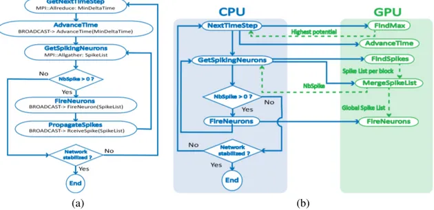 Figure 4. Execution flow of the program for both MPI (a) and CUDA (b) implementations