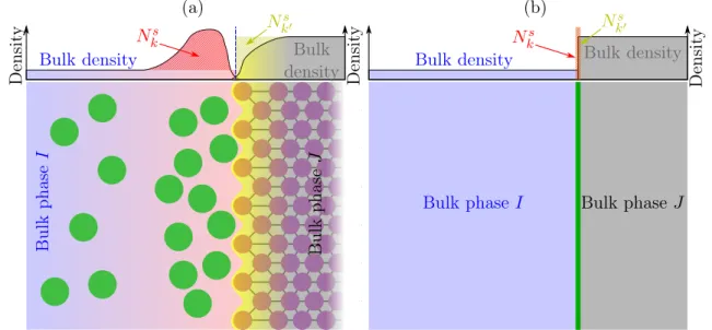 Figure 3.9. Sketch of the inhomogeneous layer at the interface between two immiscible phases (a) and thermodynamical representation of the dividing surface (b).