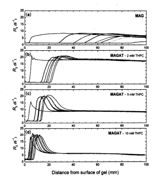 Figure  2.5.  R2  profiles into MAG dosimeters exposed to air.  The gel mixed in a glove box  contains  8%  gelatin,  7% MAA  and THPC  concentrations  o f  (a)  zero,  (b)  2 mM,  (c)  5  mM and  (d)  10 mM