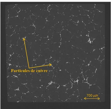 Figure 23. Coupe à cœur d'un échantillon de sel synthétique (niveau de gris sombre) contenant des  particules de cuivre (zone claire) obtenue par microtomographie aux rayons X synchrotron (ligne Id19 de 