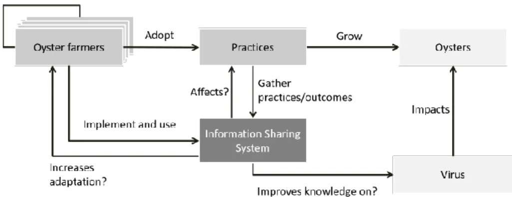 Figure 1: Description of the social-ecological system involved in oyster farming. The arrows with descriptions ending in  question marks are the parts of the system investigated in the model