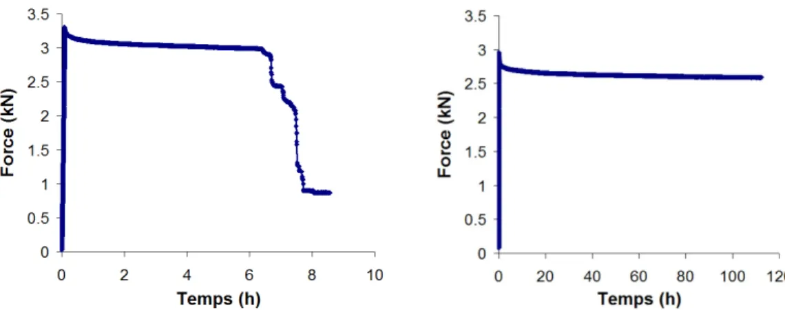 Figure 2.12 - Evolution de la force de maintien en flexion du tube 