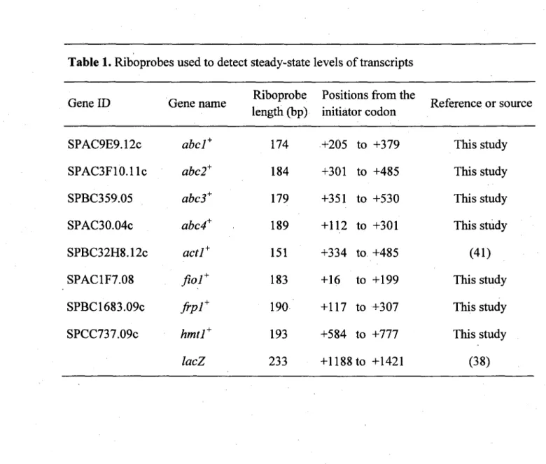 Table 1. Riboprobes used to detect steady-state levels of transcripts 