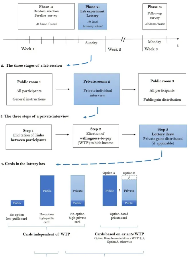 Figure 1: Schema of the experiment in four steps