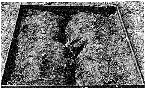 Figure I.11. Lysimètre avec une grande fissure à la surface du sol (Ritchie et Adams 1974)  Etant donné que l’évaporation entraîne souvent des modifications géométriques importantes à la  surface du sol par le retrait et surtout par la fissuration, l’étude