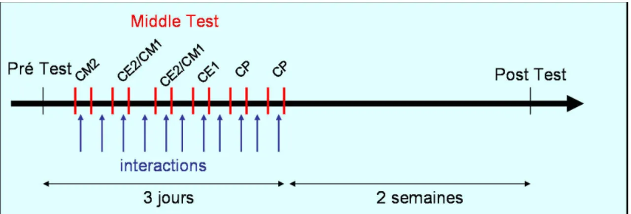 Figure 1 : Schéma du programme d’intervention et de suivi des connaissances à l’école Tillon